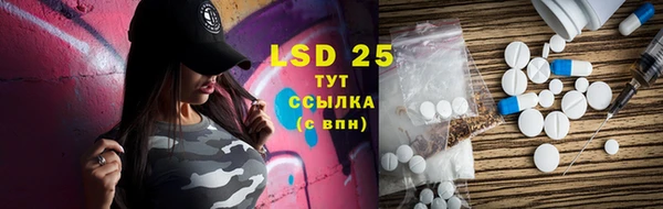 ГАЛЛЮЦИНОГЕННЫЕ ГРИБЫ Лагань