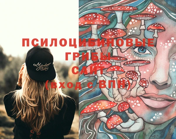 spice Лабытнанги