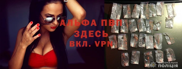 ГАЛЛЮЦИНОГЕННЫЕ ГРИБЫ Лагань