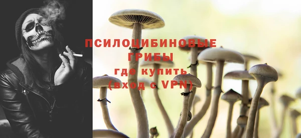 соль ск Липки