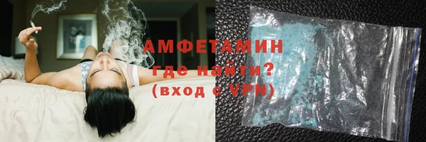 ГАЛЛЮЦИНОГЕННЫЕ ГРИБЫ Лагань