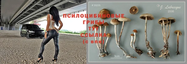 трава Ладушкин